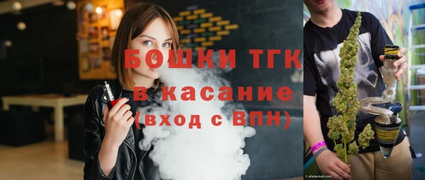 гидра Вяземский