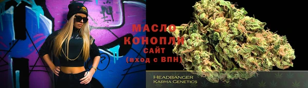 гидра Вяземский