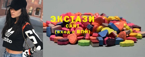гидра Вяземский