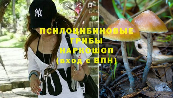 MESCALINE Горняк