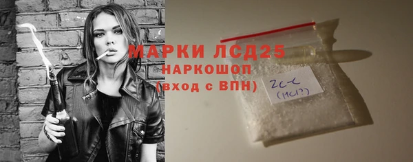 гидра Вяземский