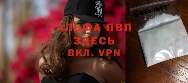 гидра Вяземский