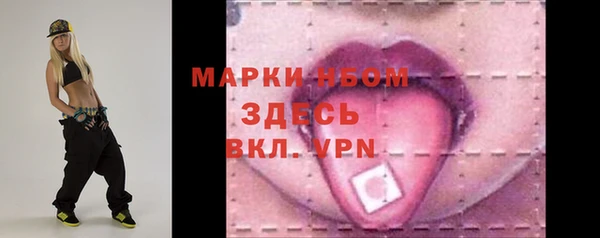 гидра Вяземский