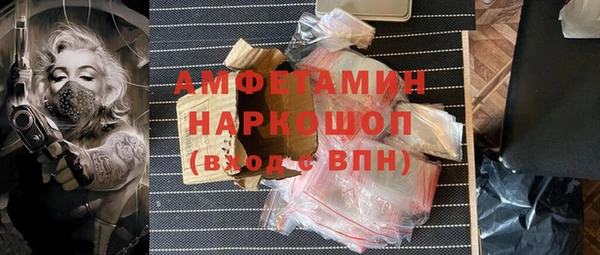 гидра Вяземский