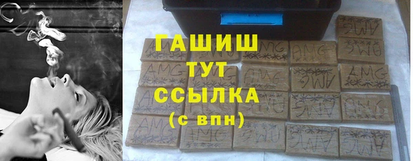 гидра Вяземский