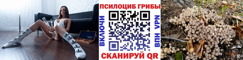 Псилоцибиновые грибы Cubensis  Чухлома 