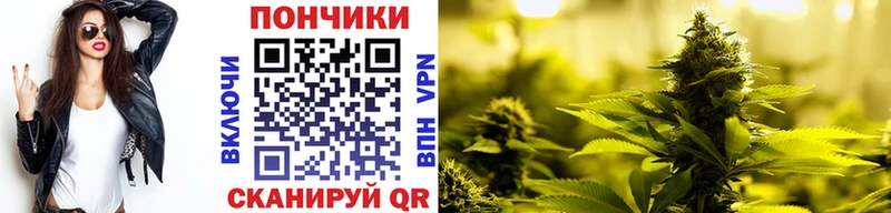 где купить   Чухлома  Конопля марихуана 